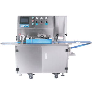 SHM-SLY-191 AUTOMATIC STAMPING MACHINE