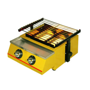LR-Q2-G 2 BURNER ROASTER